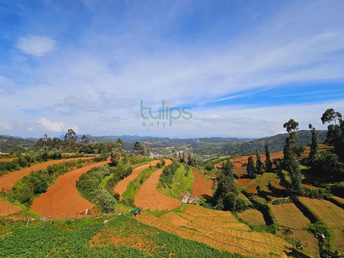 Tulips Village Resorts Ooty Exterior photo