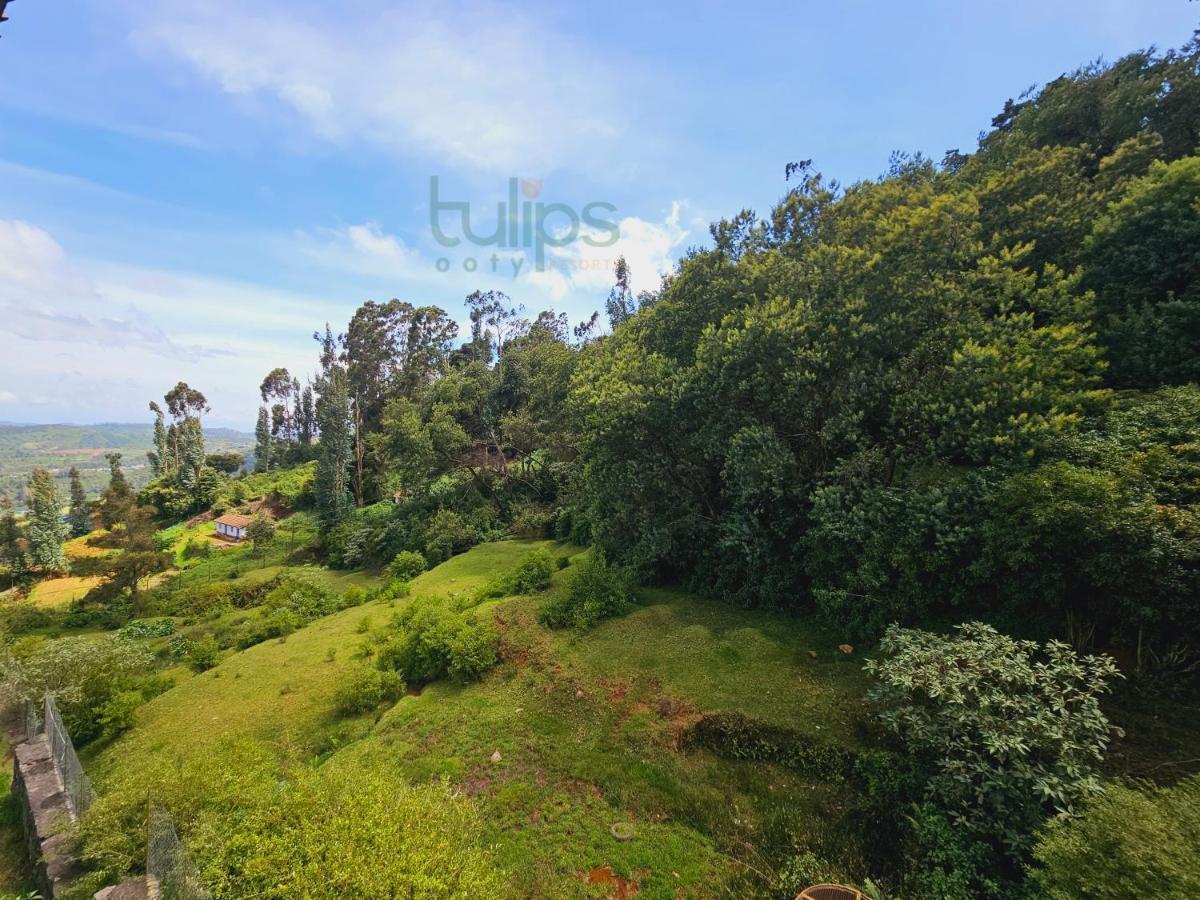 Tulips Village Resorts Ooty Exterior photo