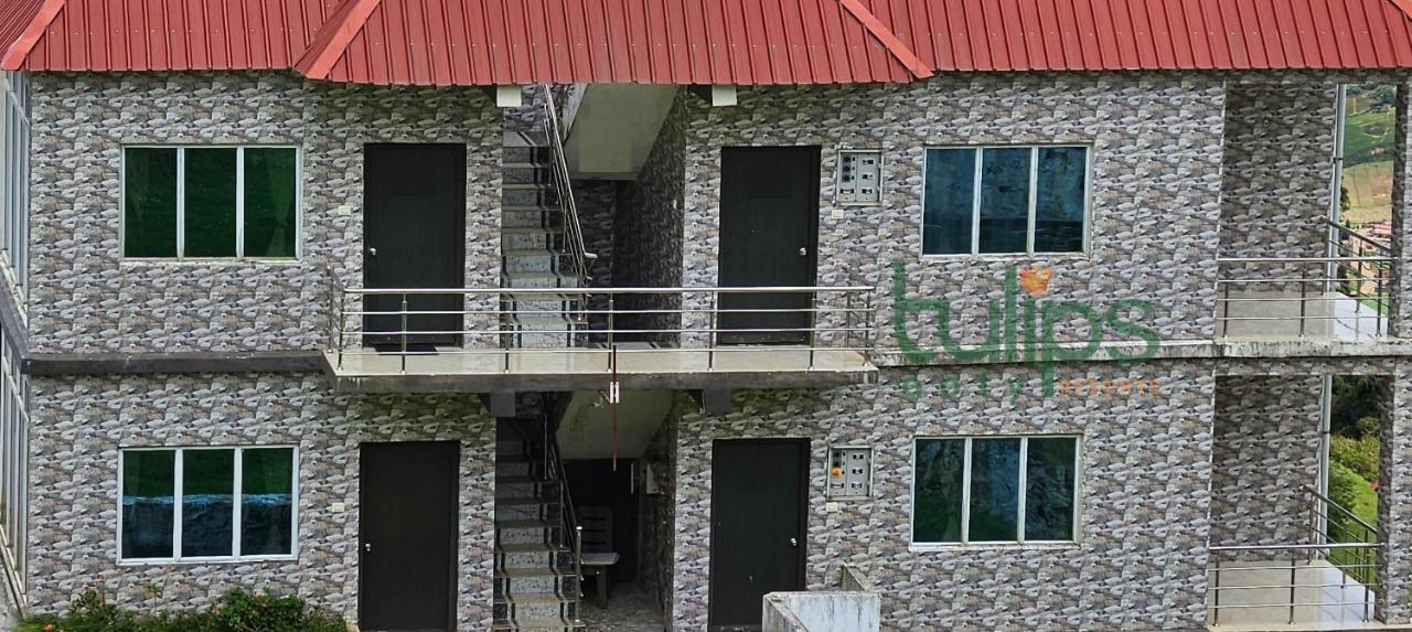 Tulips Village Resorts Ooty Exterior photo